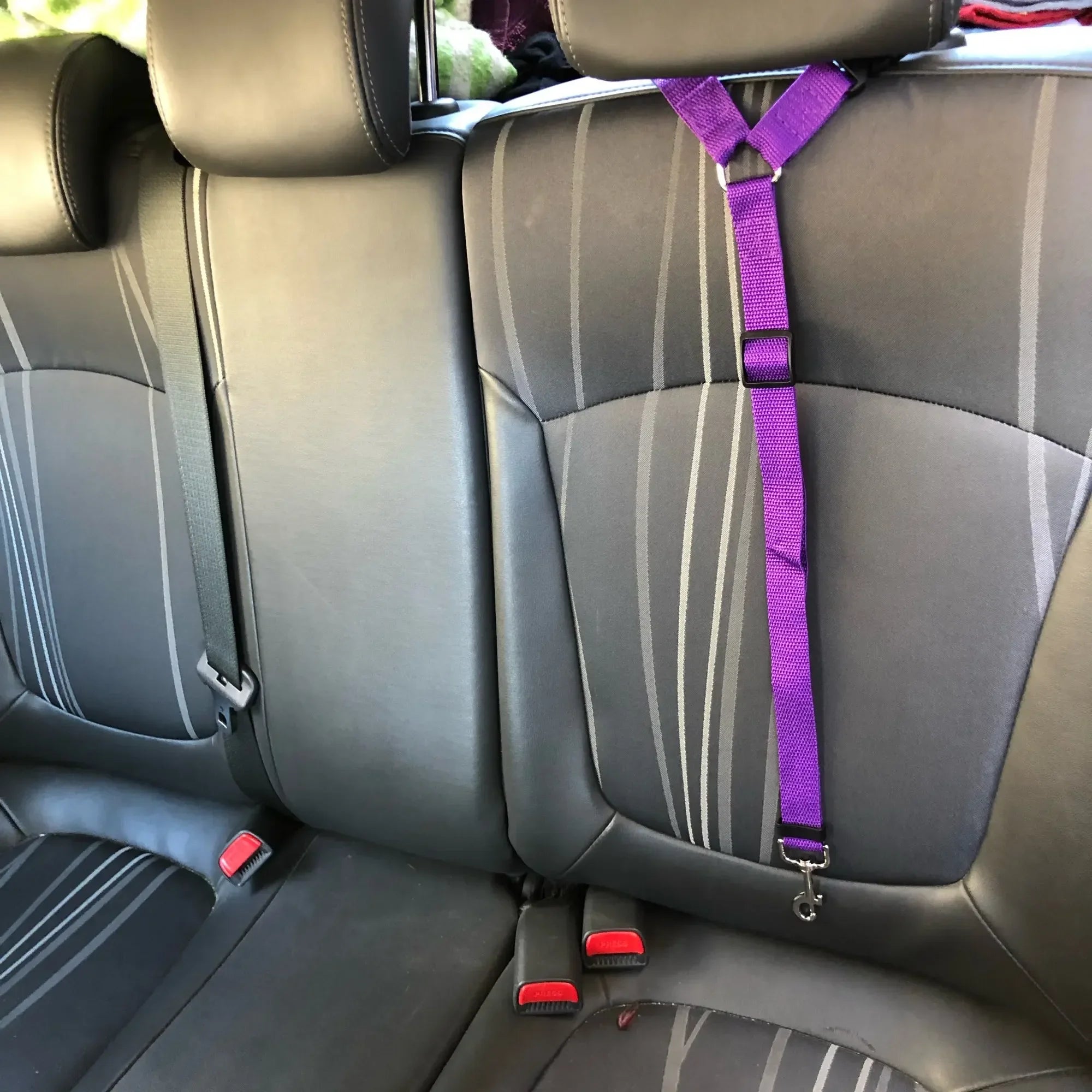 Two-in-one Pet Car Seat Belt for Dog
