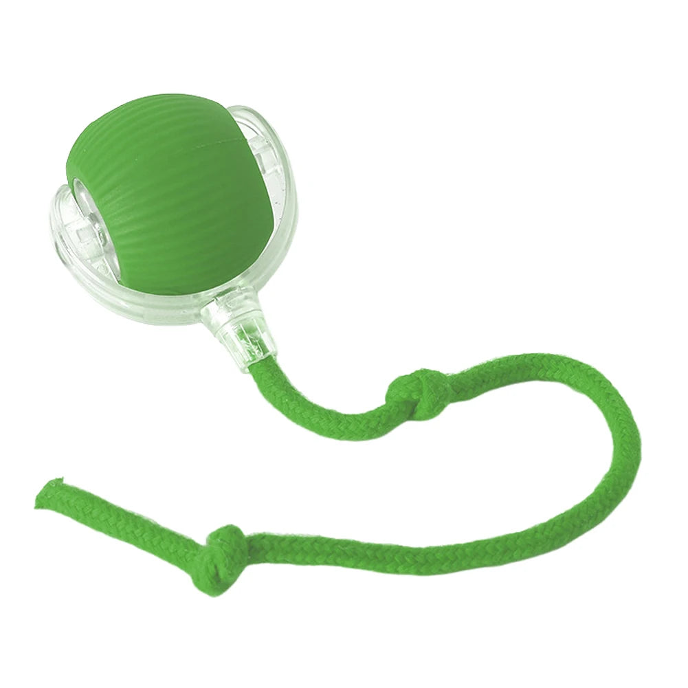 The funniest rolling toy for Cats .