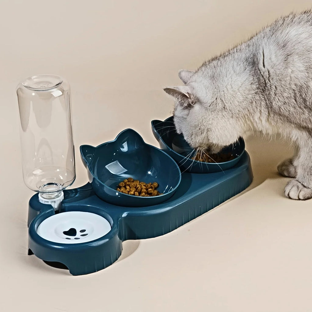 Pet Bowls With Water Feeder for Cats and dogs