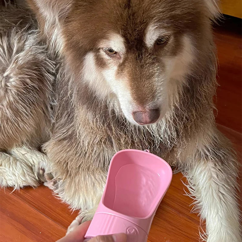 To go feeder for Dogs and Cats , Perfect solution for feeding and hydrating your pet