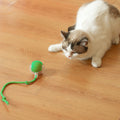 The funniest rolling toy for Cats .